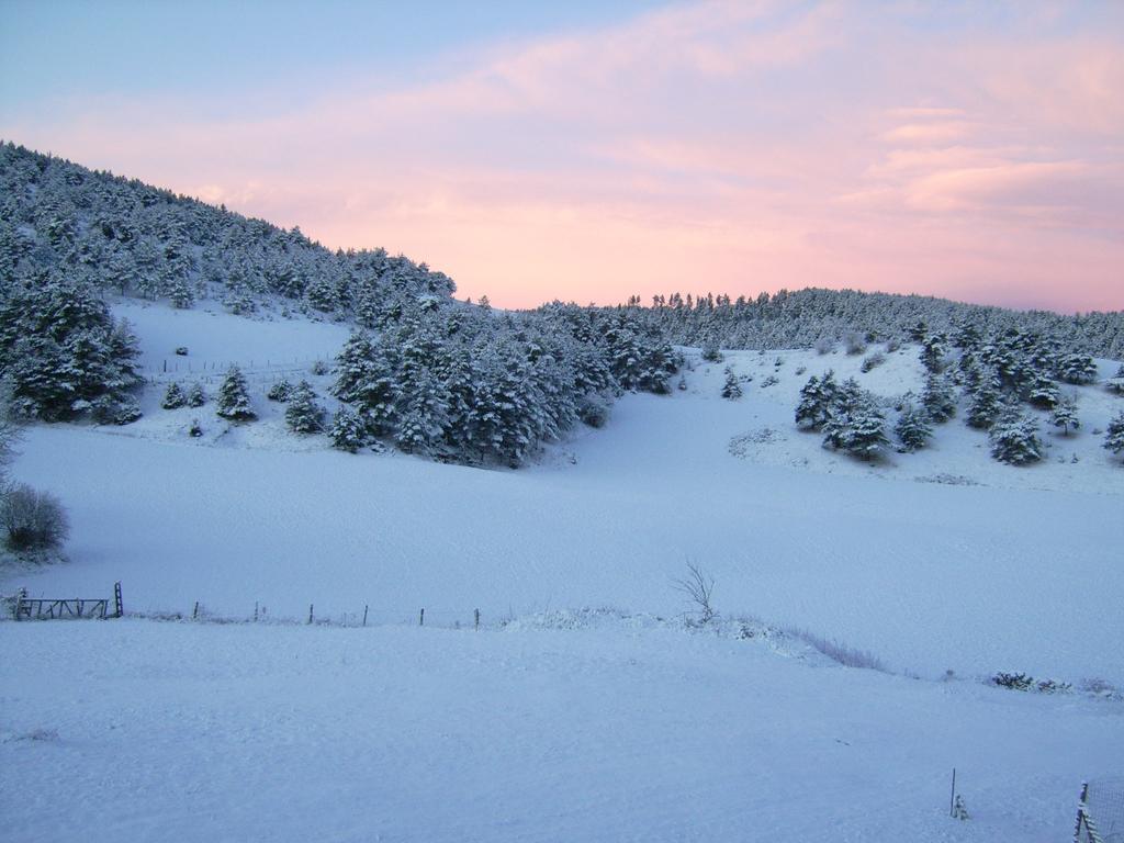 Chez Louis D'hotes A La Ferme La Canourgue